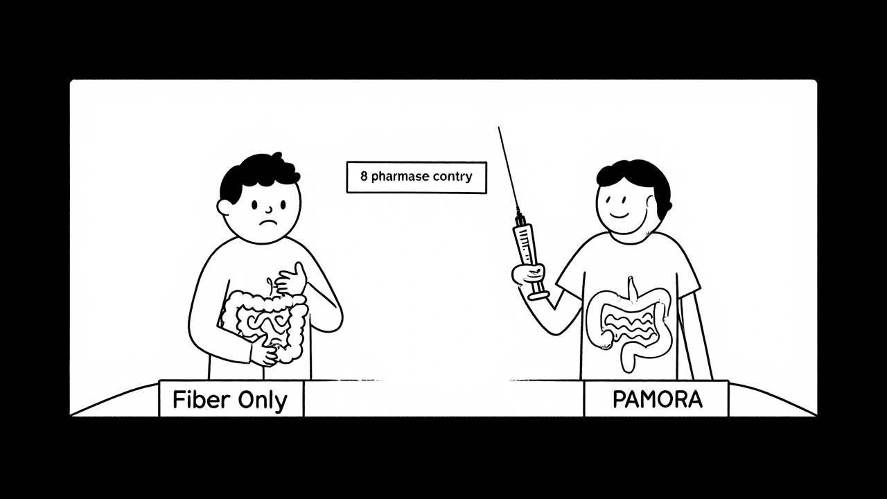 Two paths at a pharmacy: one with bloating from fiber, one with relief from PAMORA, in clean black lines.