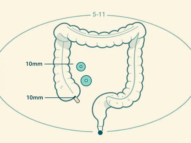 Repeat Colonoscopy: When to Get Another After Polyp Removal